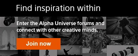 Find inspiration within | Enter the Alpha Universe forums and connect with other creative minds. | Join now