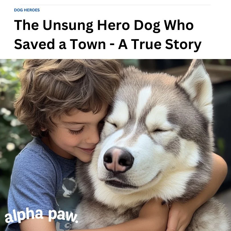 The Unsung Dog Hero