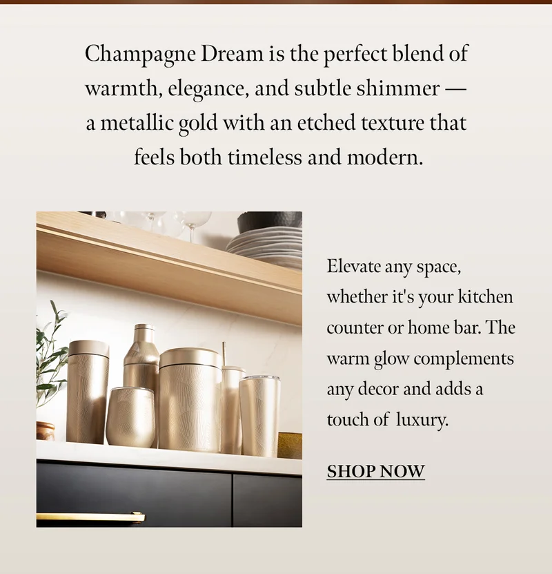 NEW Champagne Dream Collection