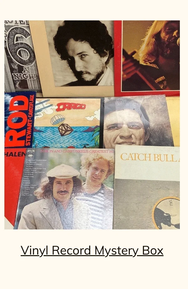 Vinyl Record Mystery Box - 7 Original LP Albums -