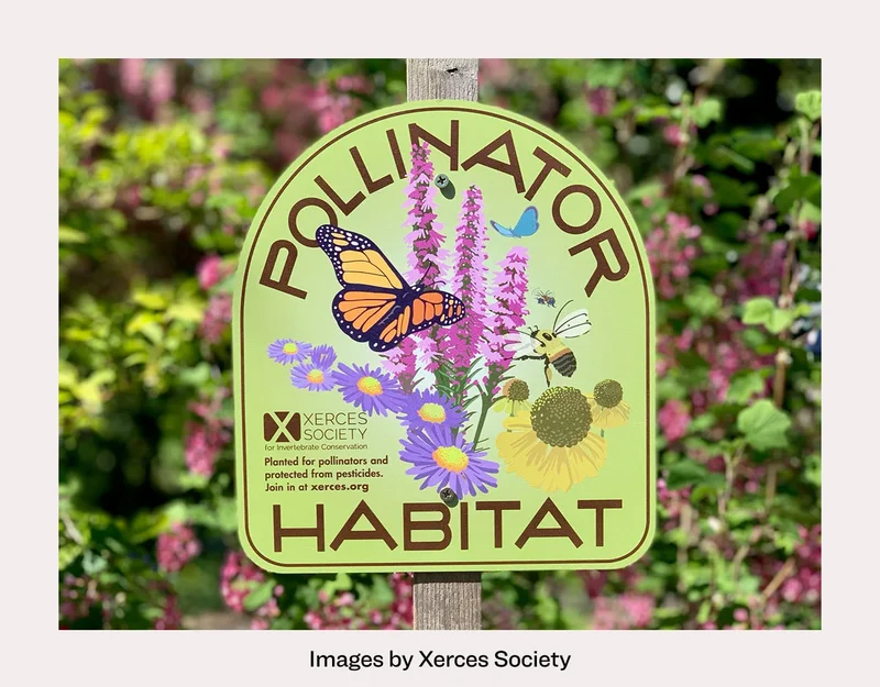 Images by Xerces Society