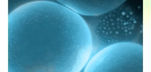 GIF of cells