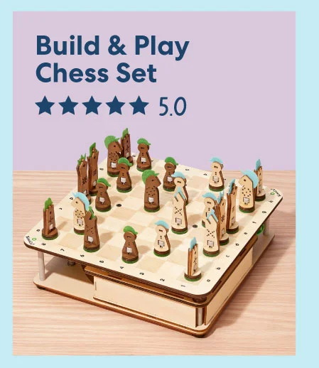 Build & Play Chess Set