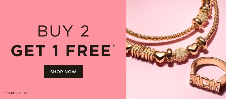 Buy 2, Get 1 FREE*