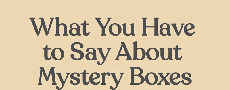 What You Have to Say About Mystery Boxes