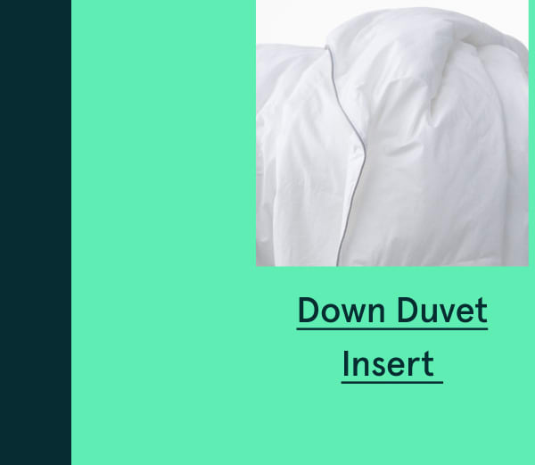Down Duvet Insert