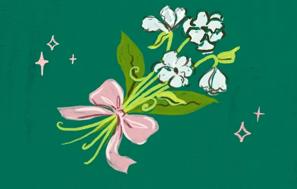 Cat illustration
