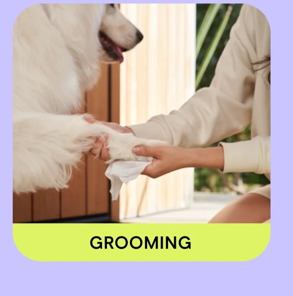 Shop Grooming