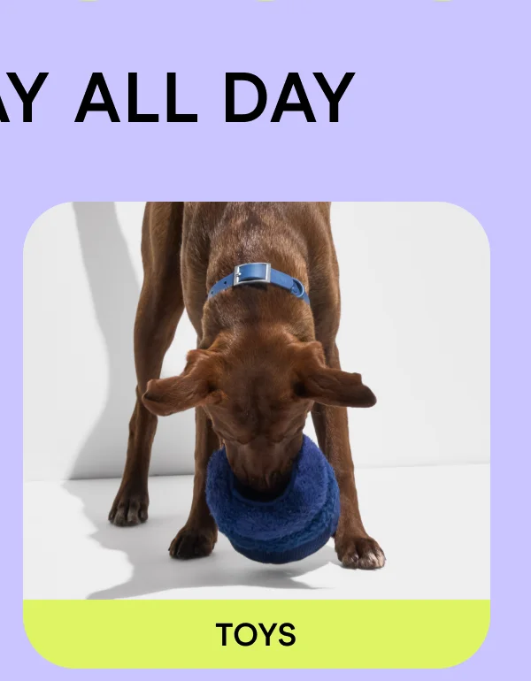 Shop Toys