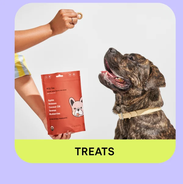 Shop Treats