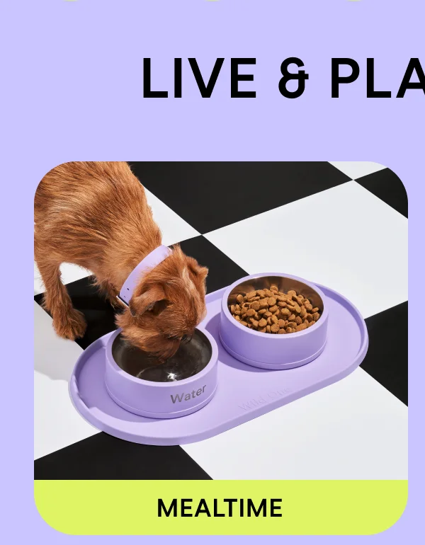 Shop Mealtime Kit