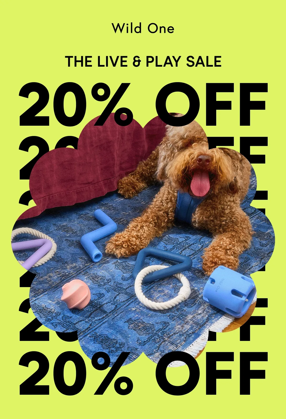 THE LIVE & PLAY SALE