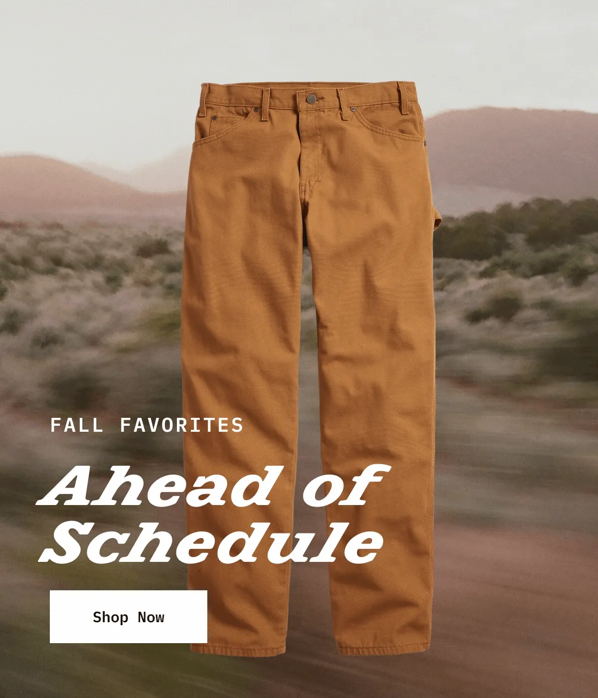FALL FAVORITES. Ahead of Schedule. Shop Now.