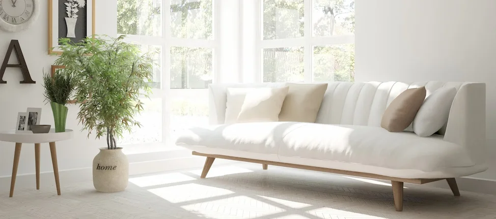 The Action Guide to Making Your Apartment Allergen-Free