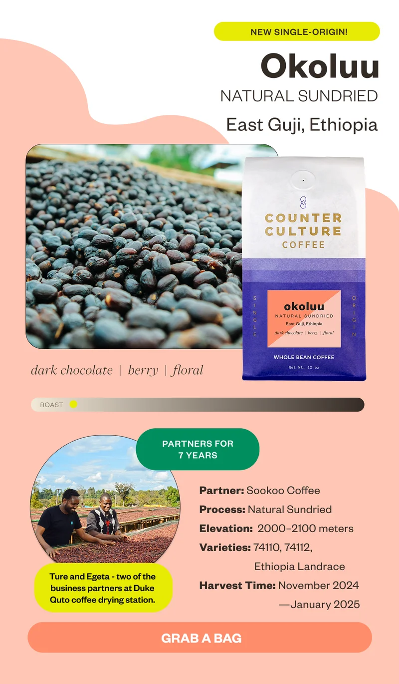 New Single- origin Okoluu Natural Sundried East Guji, Ethiopia dark chocolate berry floral Partners for 6 yearsProcess: Natural Sundried Elevation: 2000-2100 meters Varieties: 74110, 74112, Ethiopia Landrace Harvest Time: November 2024–January 2025 Grab a Bag