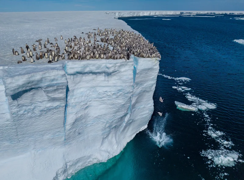 In the decades since the R.M.S. Titanic was discovered in the North Atlantic, the wreck's condition has been corroded by rust and communities of microbes. Most recently, a stretch of the railing from its iconic bow fell to the ocean floor.
