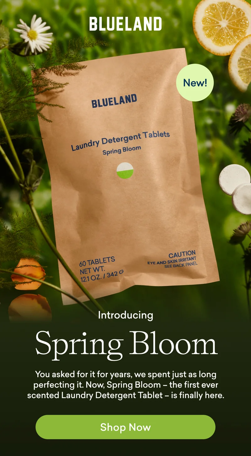 Introducing Spring Bloom