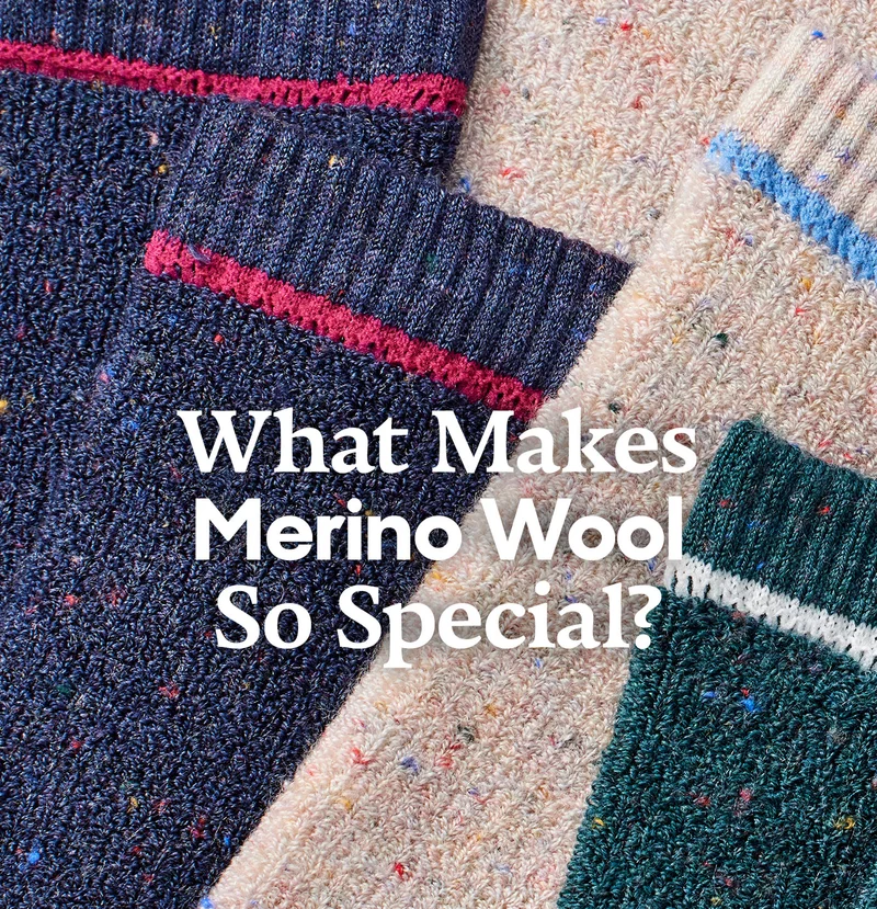 What Makes Merino Wool So Special?
