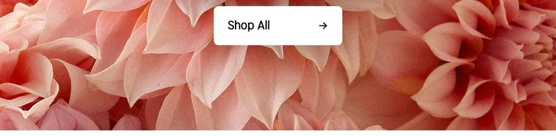 Shop All - Timex