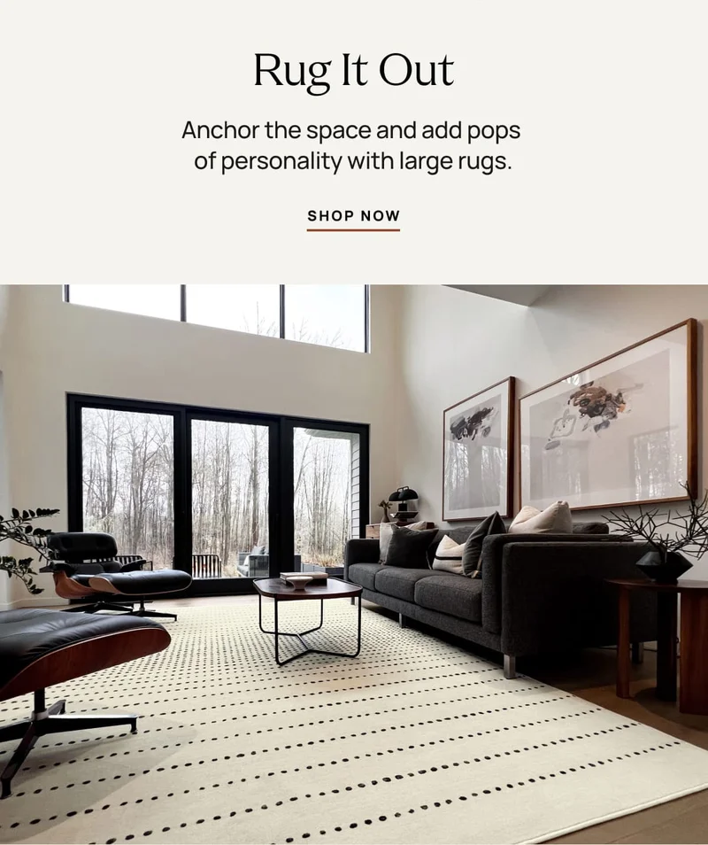 Shop Rugs