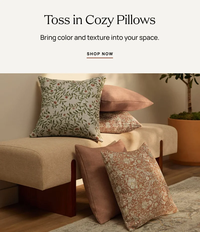 Shop Throw Pillows