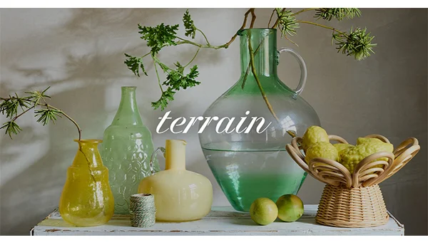 terrain