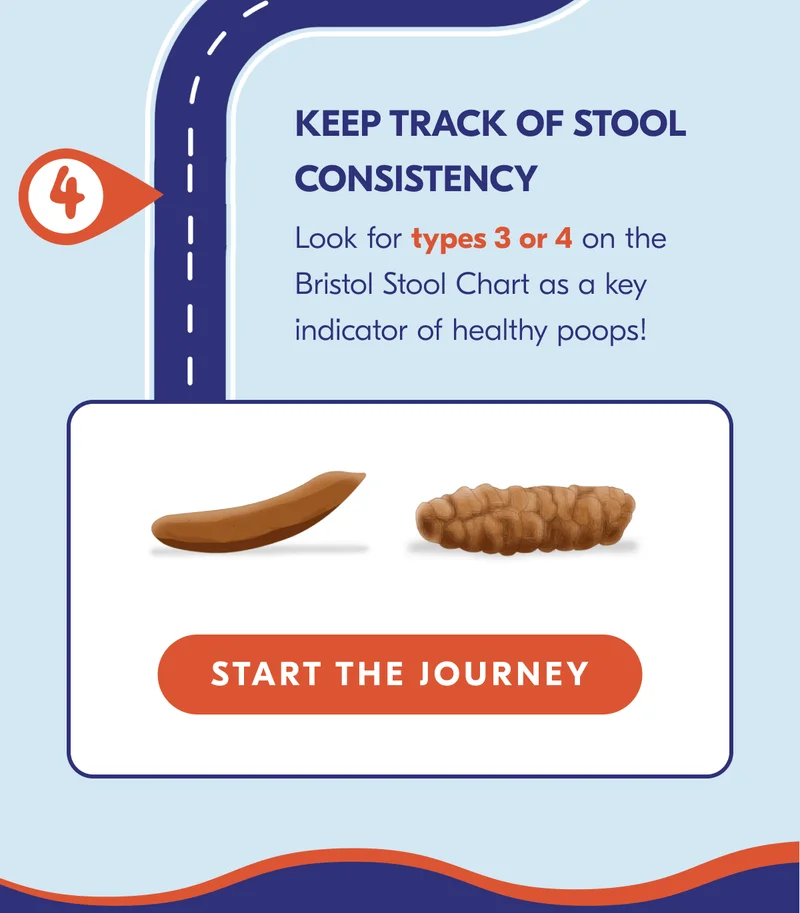 Click here to start the journey!