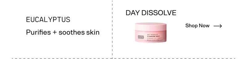 DayDissolve_ShopNow