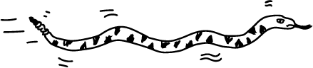 A line drawing of a snake