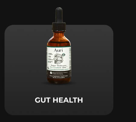 GUT HEALTH:  Super Mushroom Pre+Probiotic Elixir