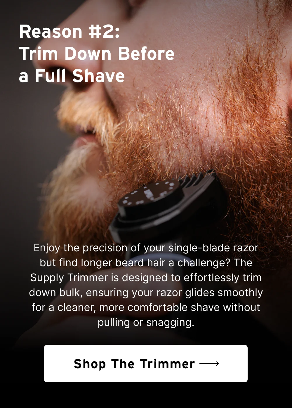 Trim Down Before a Full Shave