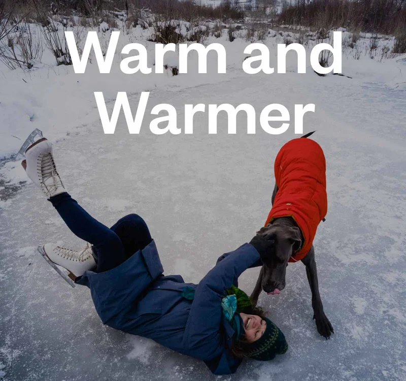 Warm and warmer. A dog licking a person wearing ice skates who just fell on a frozen pond.