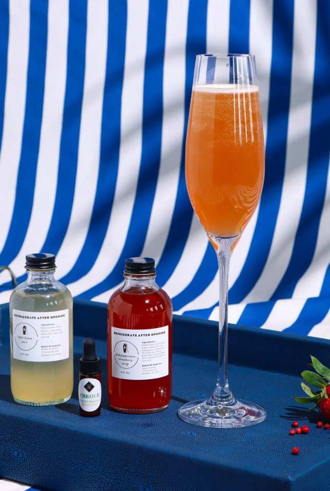 Shaker and Spoon Cocktail Kit