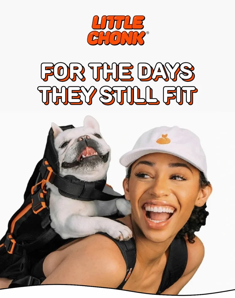 FOR THE DAYS THEY STILL FIT