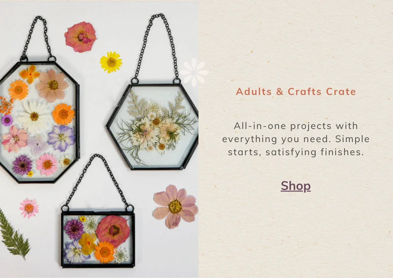 Adults & Crafts Crate