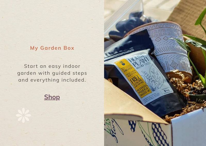 My Garden Box