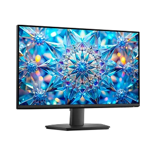 A Dell monitor.