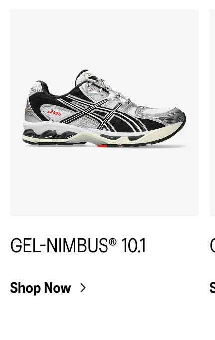 Shop Now >