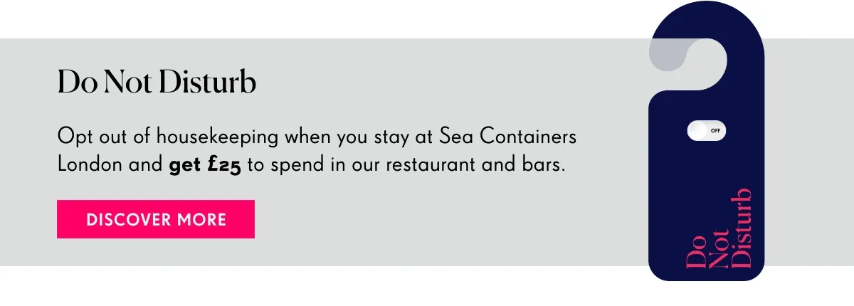 DISCOVER MORE