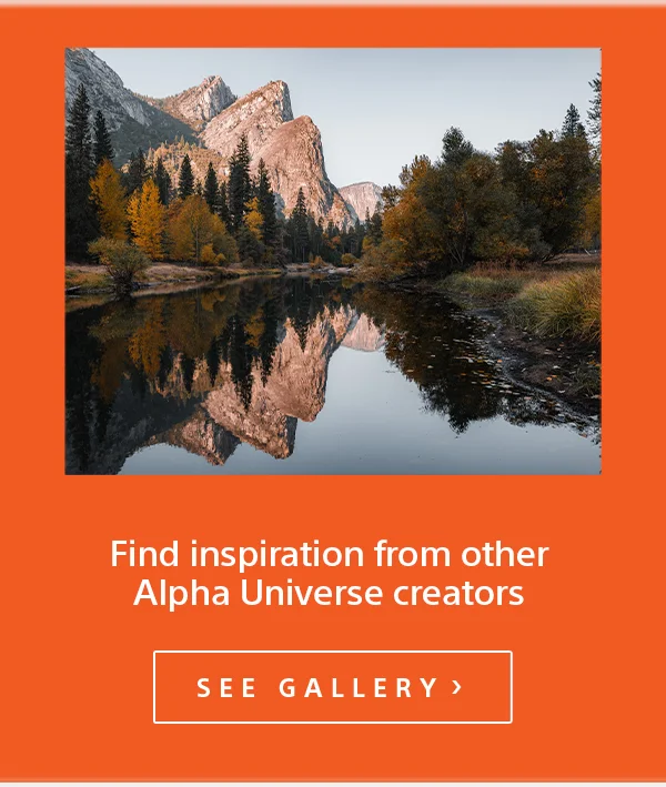 Find inspiration from other Alpha Universe creators | See Gallery