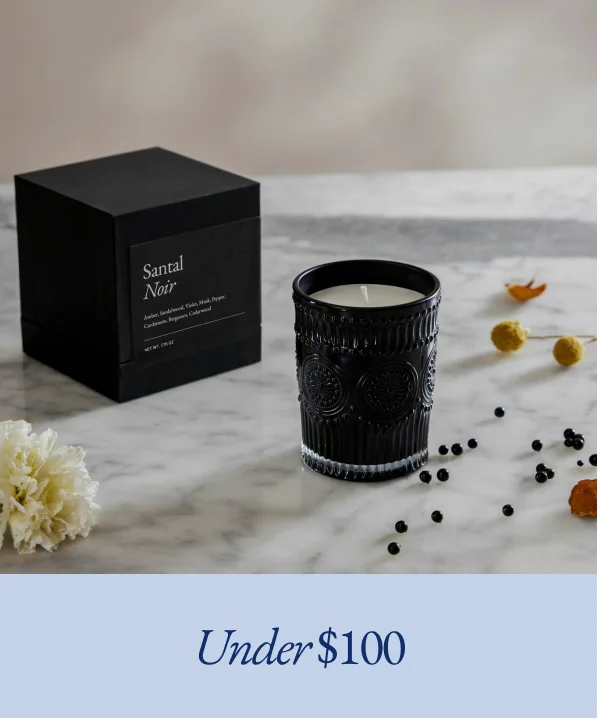Under $100
