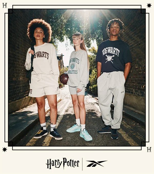 Enter The Wizarding World Image