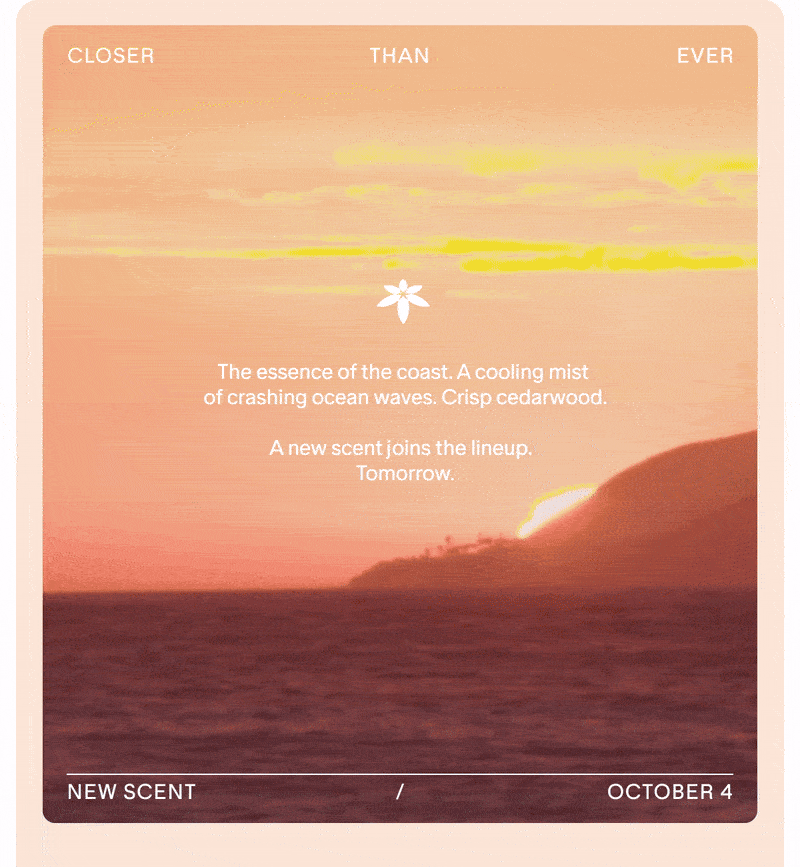 A NEW SCENT IS ON THE HORIZON.
