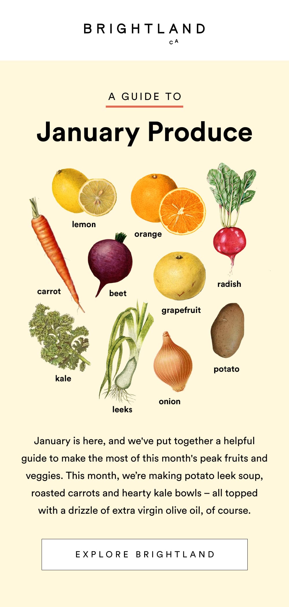 A Guide To January Produce [ Explore Brightland ]