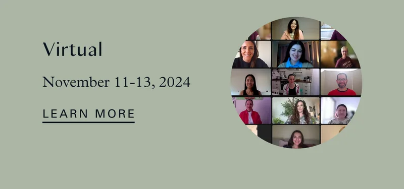 Virtual November 11-13, 2024
