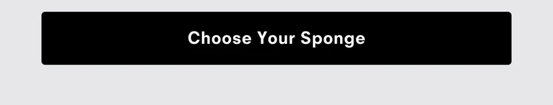 Choose Your Sponge