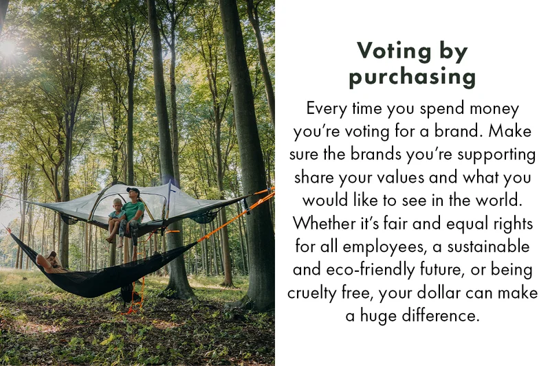 Vote By Purchasing