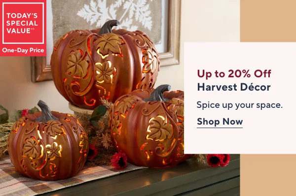 Fall Decor