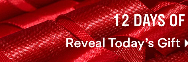 12 Days of Christmas | Reveal Today's Gift >