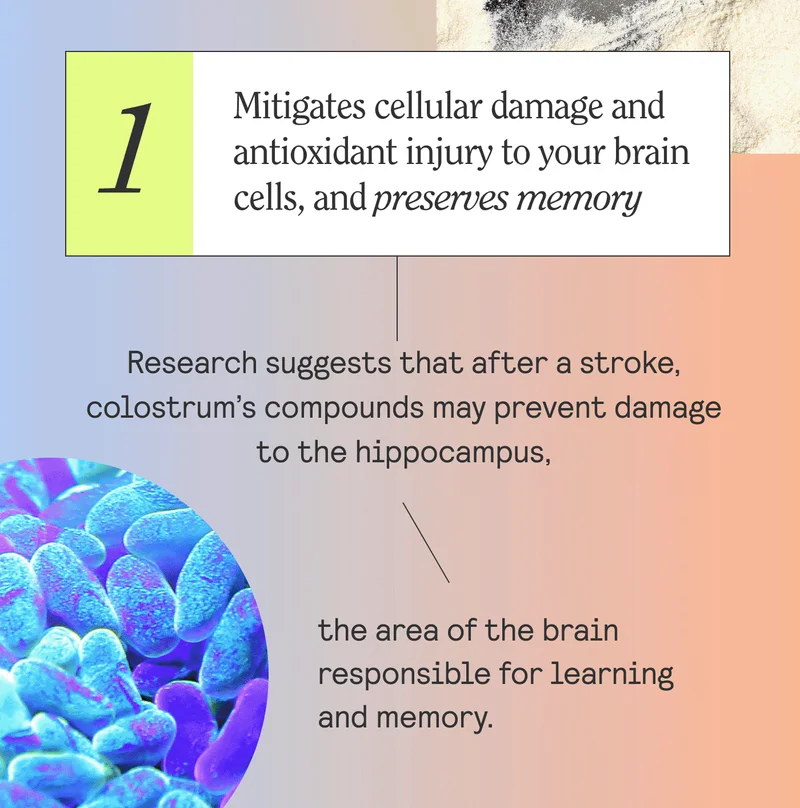 1 - Mitigates cellular damage and antioxidant injury to your brain cells and preserves memory  Research suggests that after a stroke, colostrum’s compounds may prevent damage to the hippocampus, the area of the brain responsible for learning and memory.